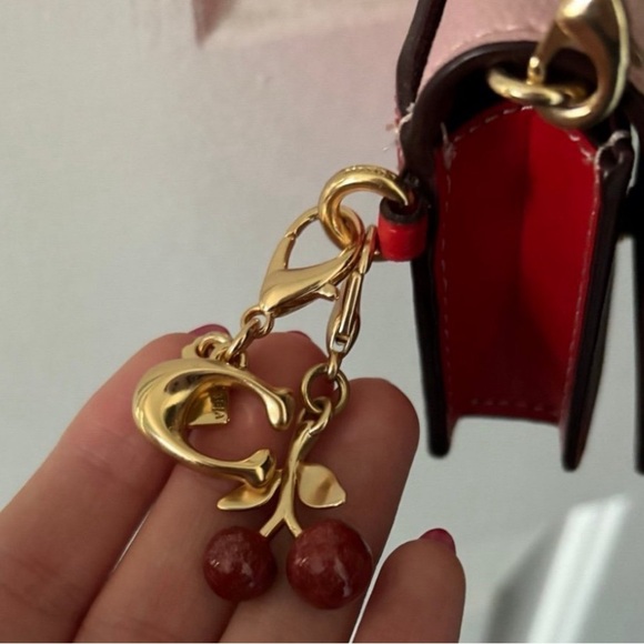 COACH CHERRY Heart Wallet ON A CHAIN ๐ - Picture 6 of 8